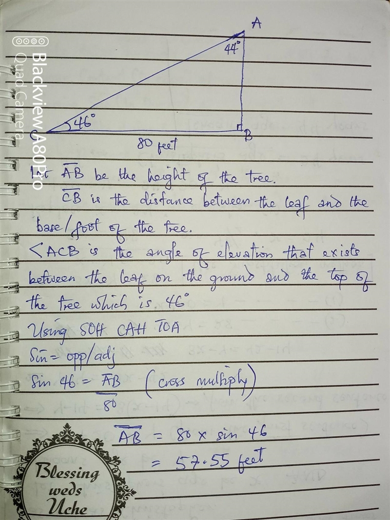 If a leaf on the ground is 80 feet from the base of a tree, and the angle of elevation-example-1