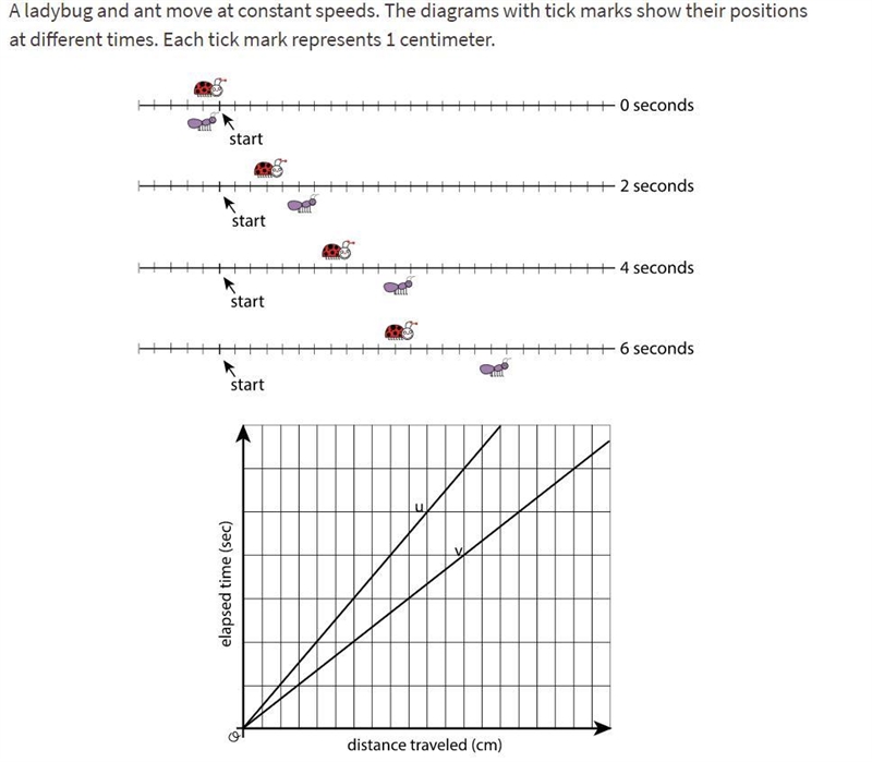 Line u & v shows the positions of the two bugs . Which line shows the ladybugs-example-1