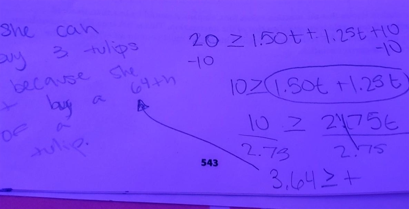 Anika wants to determine the maximum number of tulip bulbs (t) she can purchase if-example-1