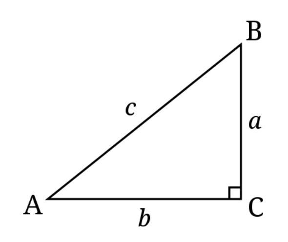 This is trigonometry! I need help with what it means when it says “adjacent for 20 degrees-example-1