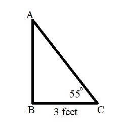 A rope tied from a tent pole to a take in the ground forms 55 degrees angle with the-example-1