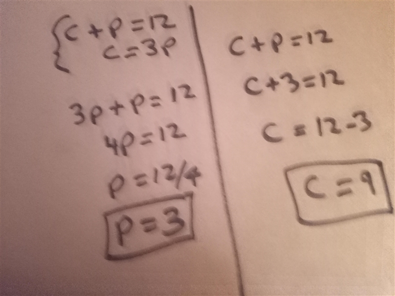 Renee has a total of 12 cookies in chocolate chip and peanut butter, C + P = 12. The-example-1