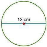 What is the circumference of the circle? (use 3.14 for pi ) 18.84.98 cm 36 cm 37.68 cm-example-1