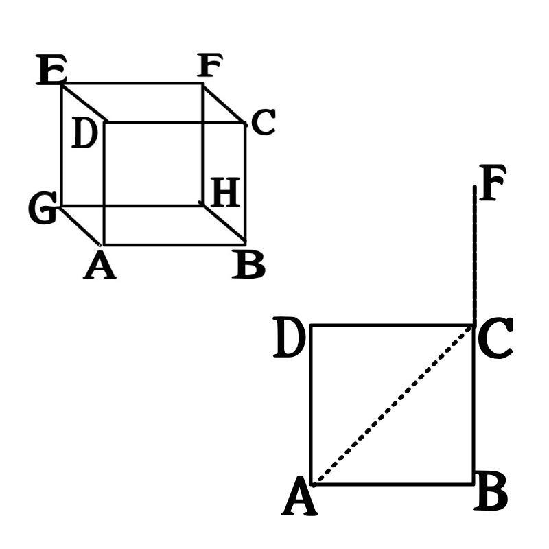 The surface distance between 2 points on the surface of a cube is the length of the-example-1