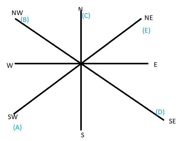 Five boys A, B, C, D,E are sitting in a park in a circle. A is facing South-West, D-example-1