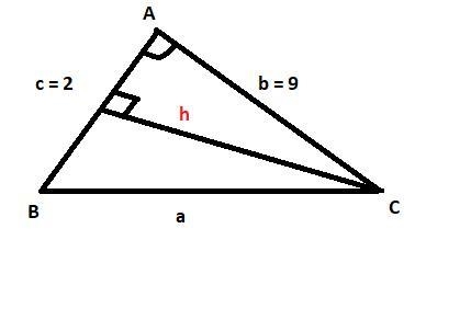 The area of triangle ABC is 3√2 square inches. Find the measure of the acute angle-example-1