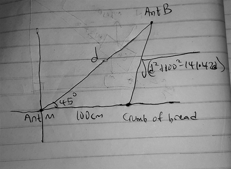 Two ants, Ant M and Ant B, often compete with each other to see which can be the first-example-2