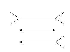 The phenomenon that involves the misperception of the length of two identical lines-example-1