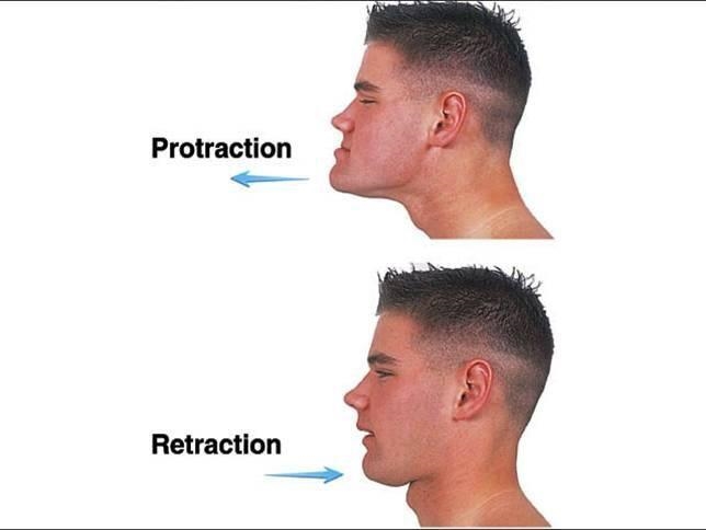 Describe and compare protraction and retraction-example-1