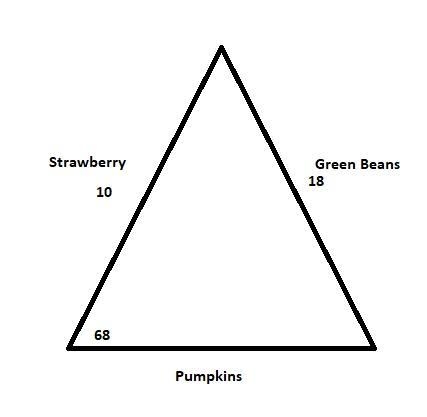 Three lines of crops in a garden form a triangular shape. Strawberries are planted-example-1