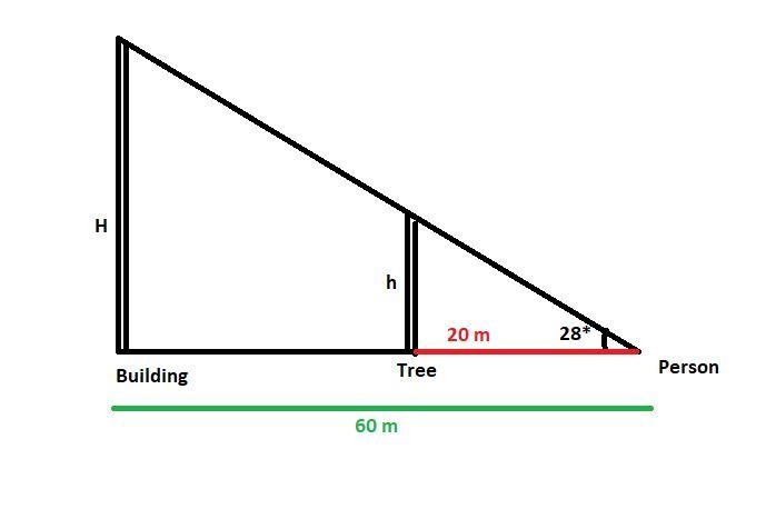 A person on the ground looks up at an angle of 28° and sees the top of a tree and-example-1