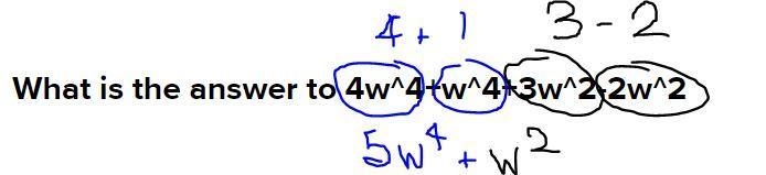 What is the answer to 4w^4+w^4+3w^2-2w^2-example-1