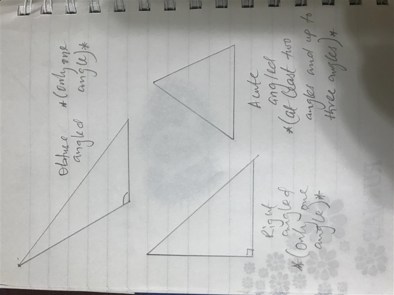 sally states that a triangle can only have one obtuse or right angle however a triangle-example-1