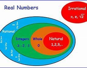 Every rational number is an integer. True or false?-example-1