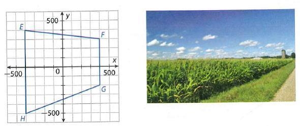 The maximum grain for corn is achieved by planting at a density of 40,000 plants per-example-1