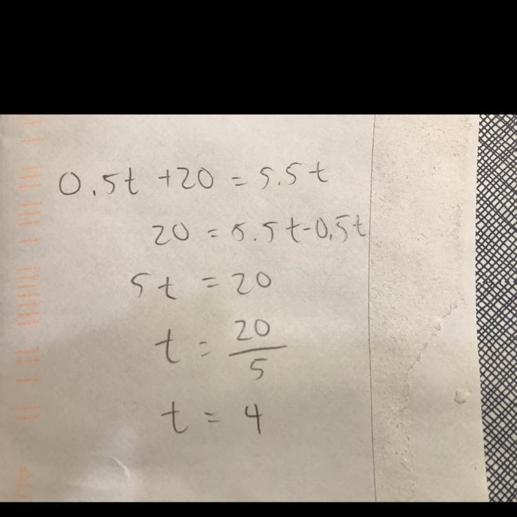 Please help me as fast as possible! A tortoise and hare decide to race 30 feet. The-example-1