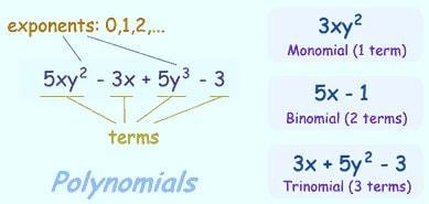 Complete the table by classifying the polynomials-example-1