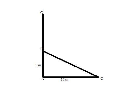 A tree is broken at a height of 5 meters from the ground and it's top touches the-example-1