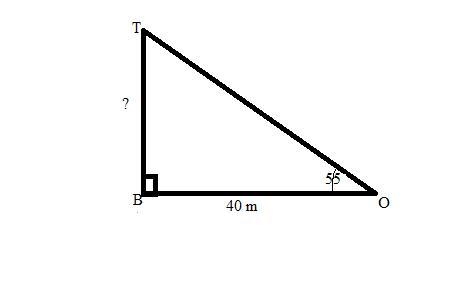 A surveyor is 40m from the edge of a building. The angle of elevation from the surveyor-example-1