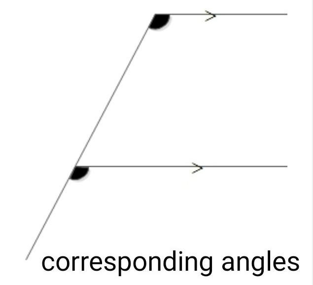 Find the missing angles with reasons. plz quick it is due today-example-3