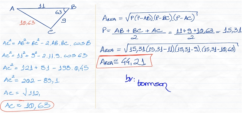 What is the area of this triangle? Enter your answer as a decimal in the box. Round-example-1