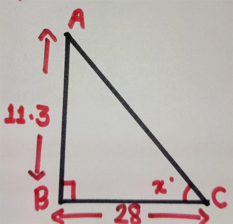 (Help Please) The relationship between the height of a tree, the distance between-example-1