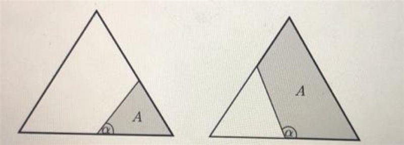 • You have given an equal sided triangle with side length a. A straight line connects-example-1