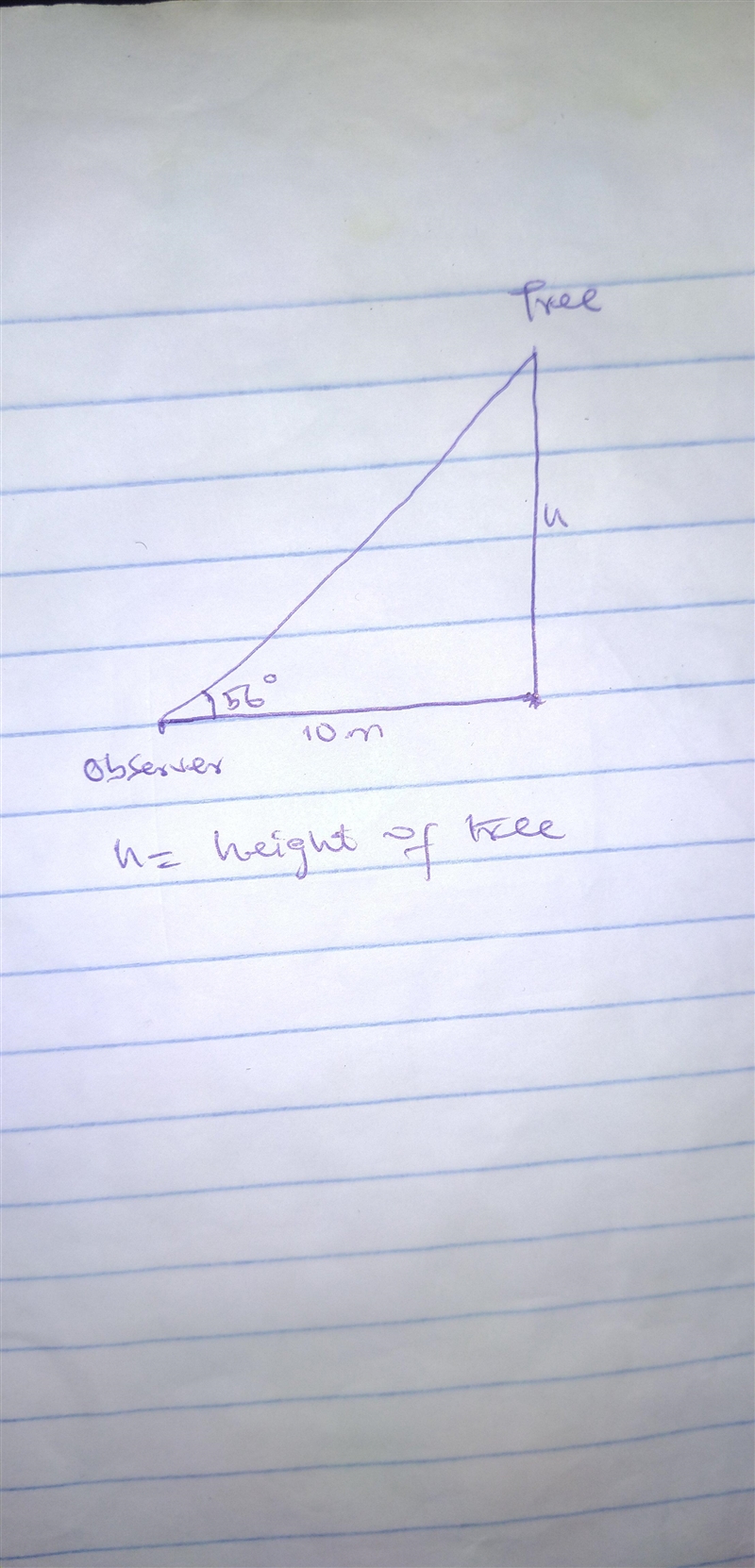 The angle of a elevation of the top of a tree from an observer standing 10m away from-example-1