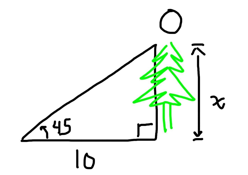 Pls help asap 50 pts right answer FOR SURE When the sun is 45 degrees above the horizon-example-1