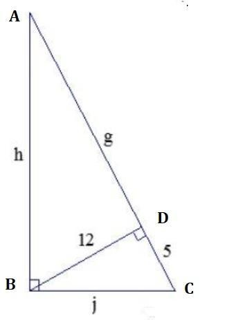 How would i find the length of g?-example-1