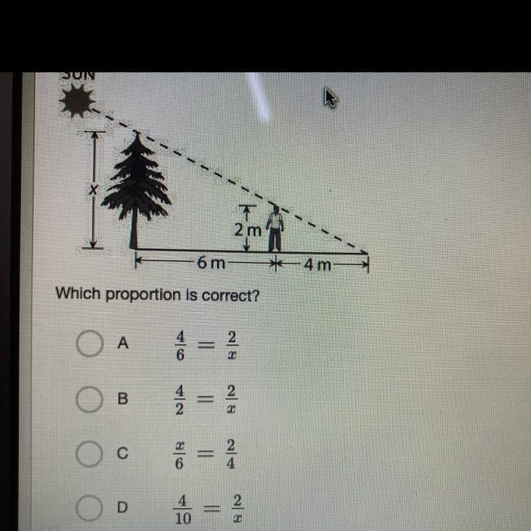 Jack wants to find the height of an olive tree for a science project. Jack is 2 meters-example-1