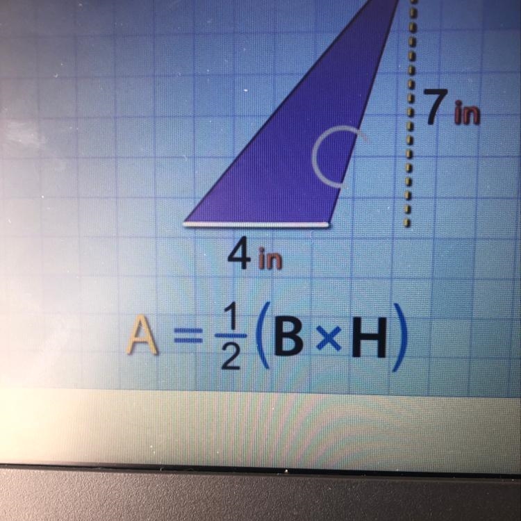 I need help with the area of this-example-1