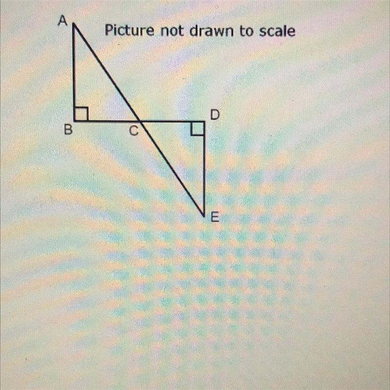 ABC is congruent to EDC, BC = 5 units and DE = 12 units. What is the length of AE-example-1