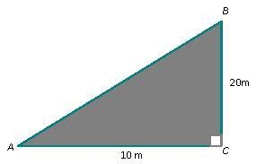 Find the area of the triangle. a. 620 sq. m c. 100 sq. m b. 200 sq. m d. 180 sq.m-example-1