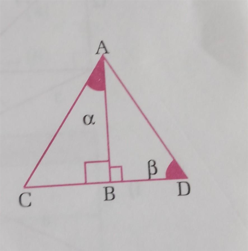 Section B 1. In the adjoining figure find out perpendicular, base and hypotenuse from-example-1