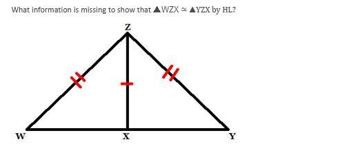 50 POINTS PLEASE HELP A)WX≃YX B) and are right angles C) ≃ D)The triangles are not-example-1