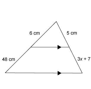 Plz, help 99pts What is the value of x?-example-1