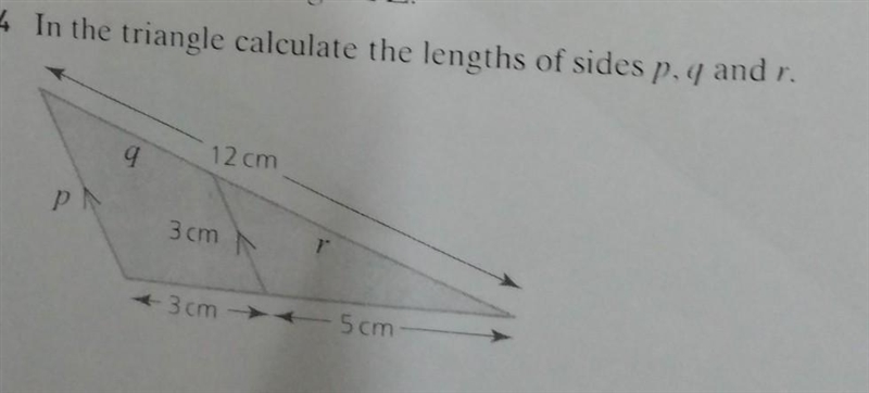 Please help! with explanation and steps!​-example-1