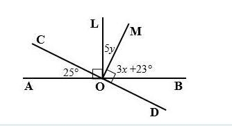 Lines AB and CD are straight lines. Find x and y. Give reasons to justify your solutions-example-1