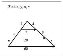 Please help! find x and y-example-1