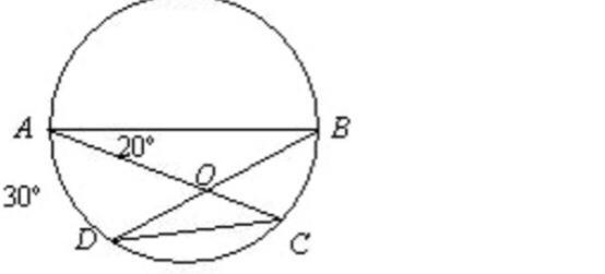 Find the measure of angle DOC-example-1