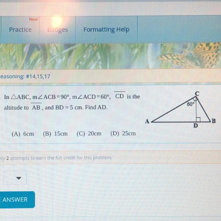 Please help! This is for geometry-example-1