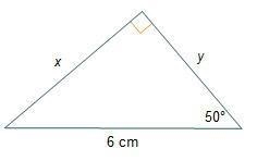 please help me! What is the approximate value of y? Round to the nearest tenth. A-example-1