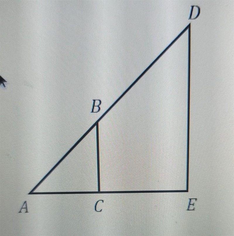 Which point will represent the center of the dilation?​-example-1