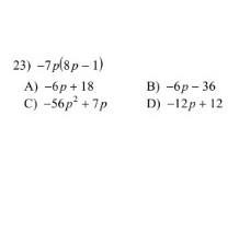 Which one? A. B. C. or D? ​-example-1