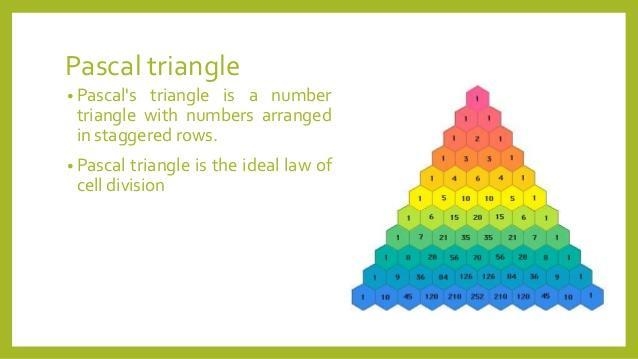 Where in the real-world is the Pascal Triangle used? Provide an example.-example-1