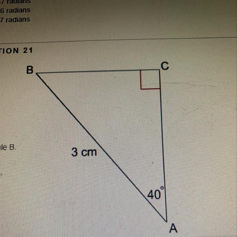 21. What is angle B?-example-1