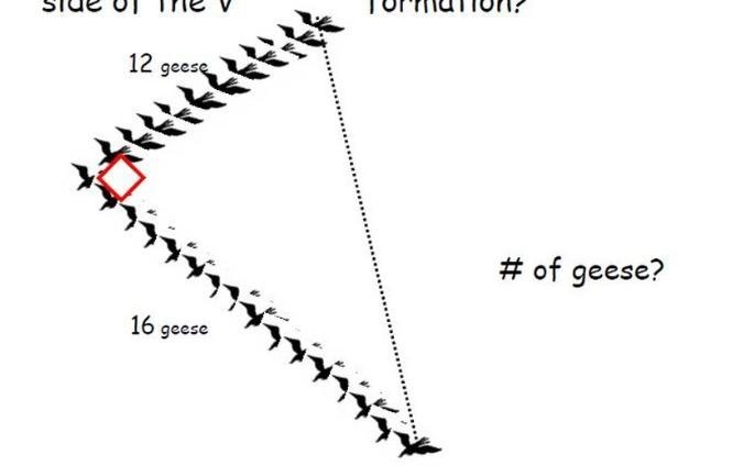 D( Geese fly in V formation. The V forms a right angle that has 16 geese on 1 side-example-1