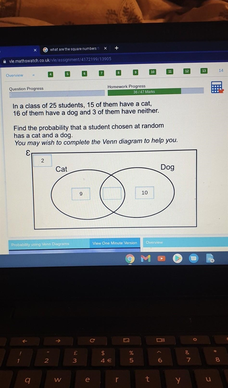 In a class of 25 students, 15 of them have a cat, 16 of them have a dog and 3 of them-example-1