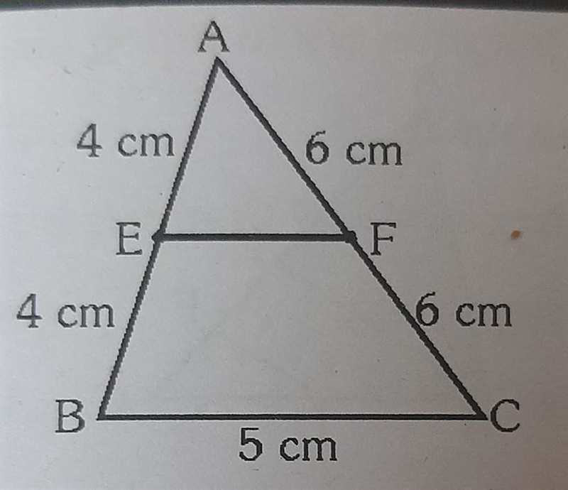 In triangle ABC, EF= a) 3cm b) 2.5cm c) 4cm d) none of these​-example-1